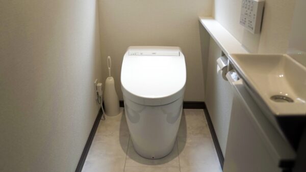 トイレの便器交換は何日かかる　他、便器の交換をする際に知っておきたい事 (2)